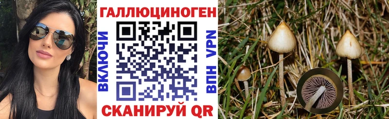 Галлюциногенные грибы GOLDEN TEACHER  нарко площадка Telegram  Высоковск  сколько стоит 